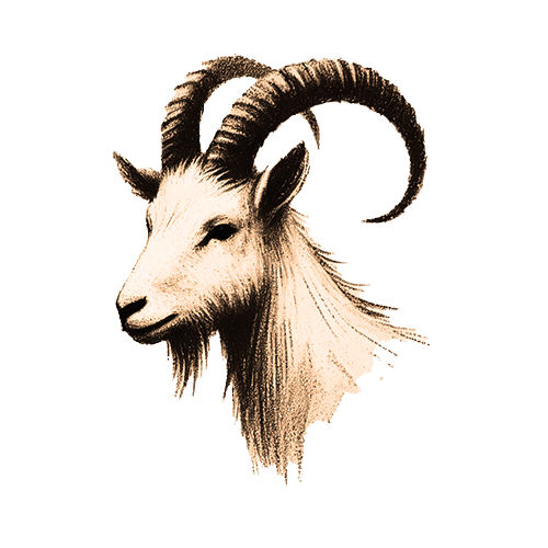 Freigestelltes Sepia-Bild eines Steinbocks im Profil mit entschlossener und kraftvoller Haltung