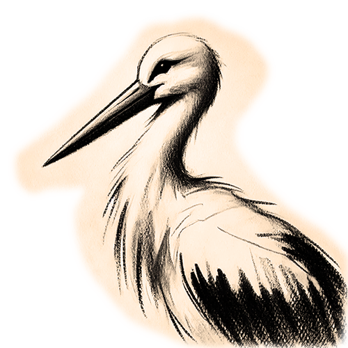 Freigestelltes Sepia-Bild eines Storches im Profil mit anmutiger und schützender Haltung