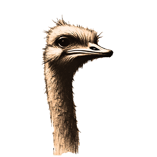 Freigestelltes Sepia-Bild eines Straußes im Profil mit aufrechter und entschlossener Haltung