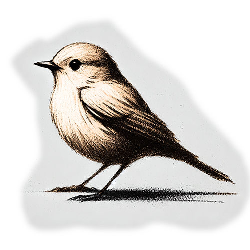 Freigestelltes Sepia-Bild eines Vogels im Profil mit anmutiger und freier Haltung