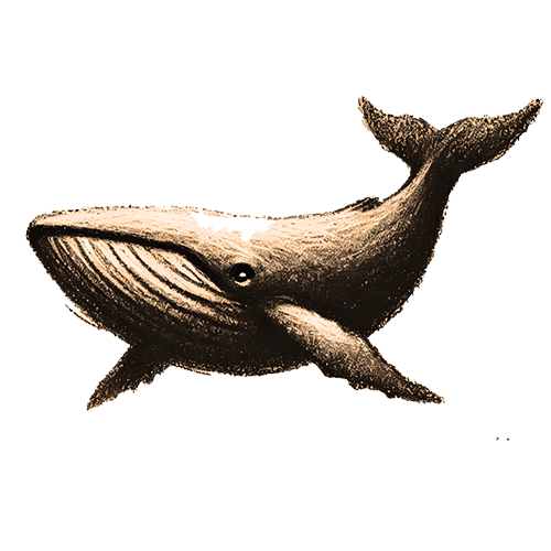 Krafttier Wal Freigestelltes Sepia-Bild eines Wals im Profil mit ruhiger und majestätischer Haltung