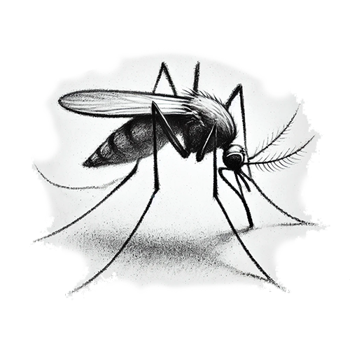 Freigestelltes Sepia-Bild einer Mücke im Profil mit feiner und aufmerksamer Haltung