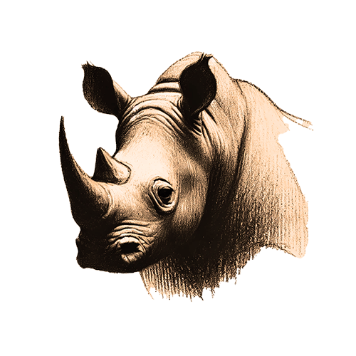 Freigestelltes Sepia-Bild eines Nashorns im Profil mit kraftvoller und geerdeter Haltung